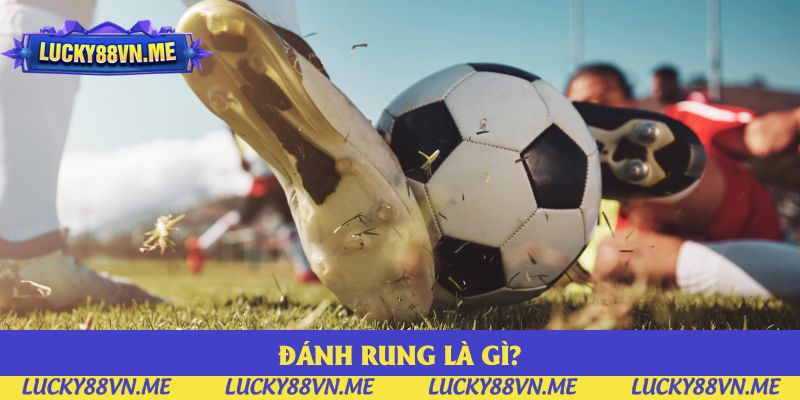 Đánh Rung Là Gì? Giải Đáp Chính Xác, Chi Tiết, Dễ Hiểu Nhất