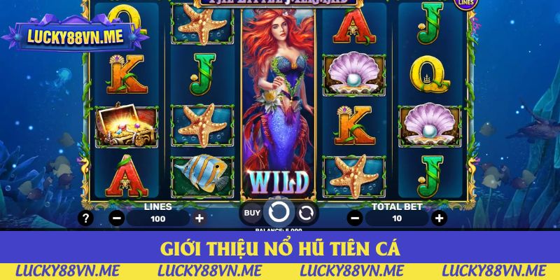 Giới thiệu các thông tin bạn cần nắm bắt về nổ hũ Tiên Cá