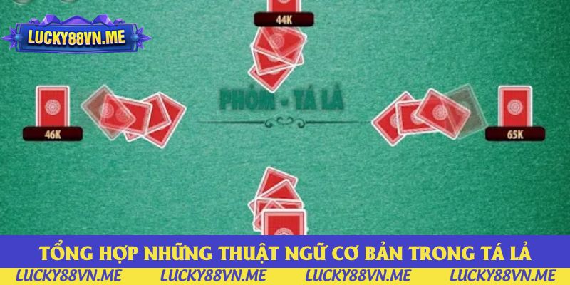 Tổng hợp những thuật ngữ cơ bản trong Tá lả