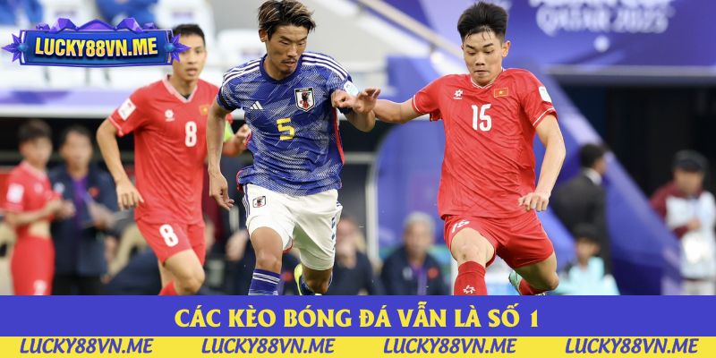 Các kèo bóng đá tại đây có sự đa dạng về các chủng loại